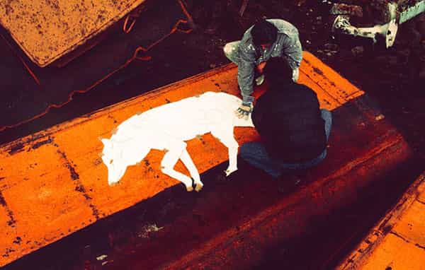 Die Papierschablone eines ausgewachsenen Wolf wird auf den Wanten eines  Eisbrechers bei einer Abwrackfirma im Hafen von Hamburg positioniert. Zwei Menschen suchen den richtigen Ort auf den Blechen, die unter der Beleuchtung einer Natriumdampflampe farblich unwirklich aussehen. Es ist frueh am Morgen und das Foto ist grobkoernig auf Grund des Films mit einer hohen ASA Zahl.