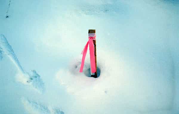 Es ist wie eine mikroskopische Aufnahme; inmitten von Schnee mit Textur steckt ein Pfahl, der mit einer Schleife aus einem roten Plastikstreifen versehen ist. Die rote Plastikschleife ist so gebunden, das ein auf dem Kopf stehendes V zu sehen ist - das ist alles.